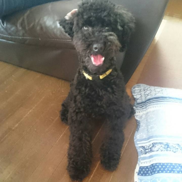 4b58595f 6242 49dc bfed f700c54c453a