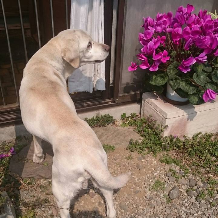 4b58fe1c 14cc 44b9 acc6 c910397c5919