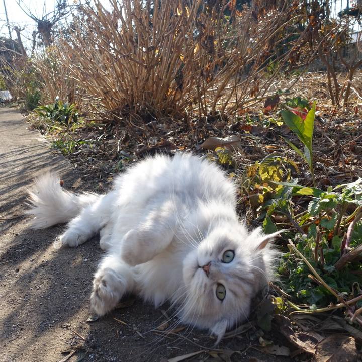 4b59cac0 e82d 4323 a864 d304bc85879a