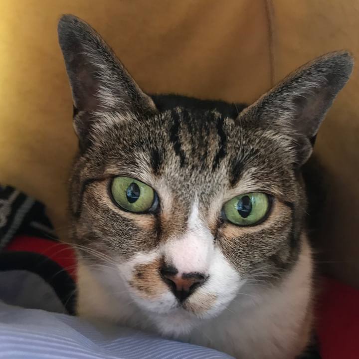 4b5a02aa 8b60 40f3 b036 92a2c4ce1dbb