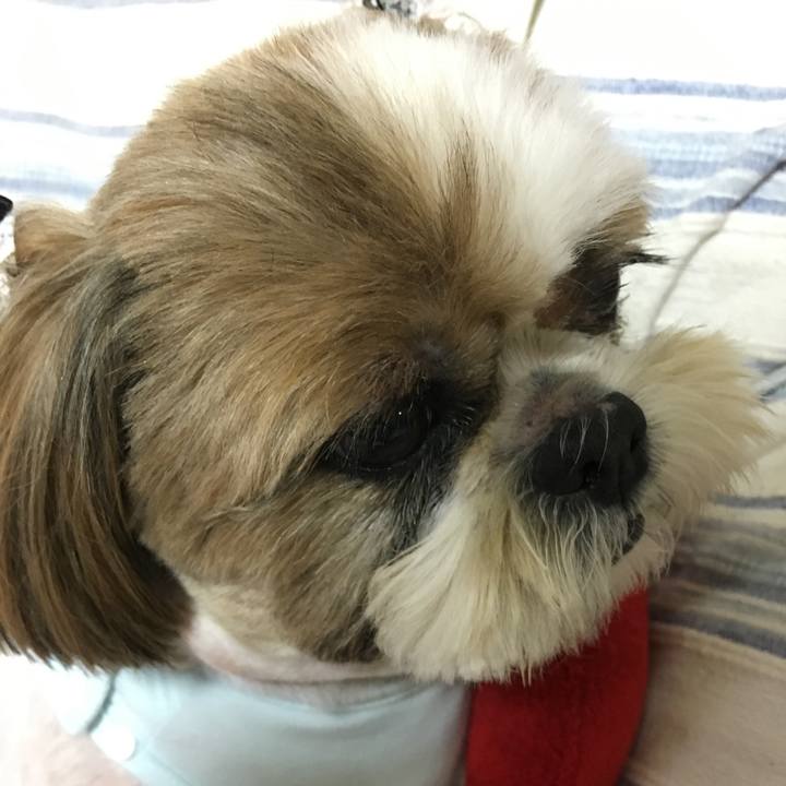 4b5a2755 9e93 47f0 993c de61c8e8c1cd