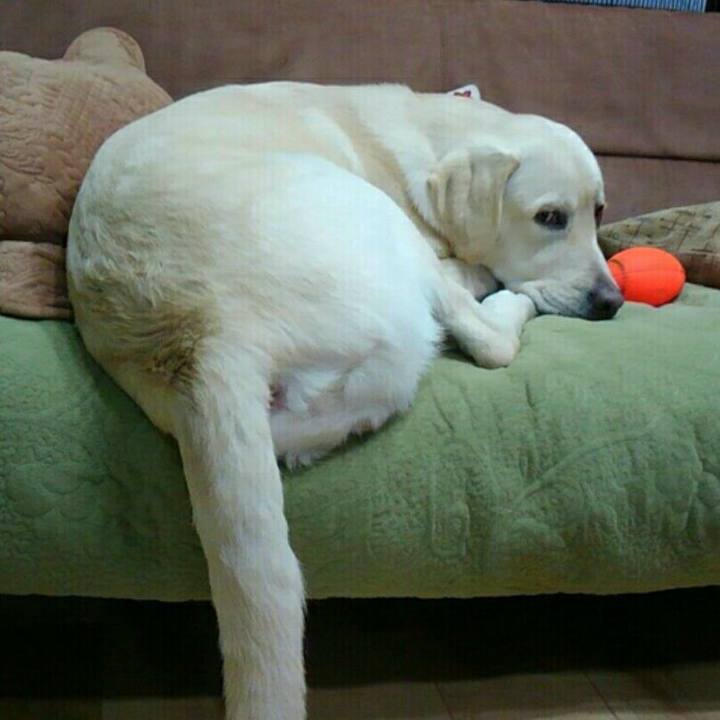 4b5b0d23 f140 47b5 a704 53c3ca0502d4