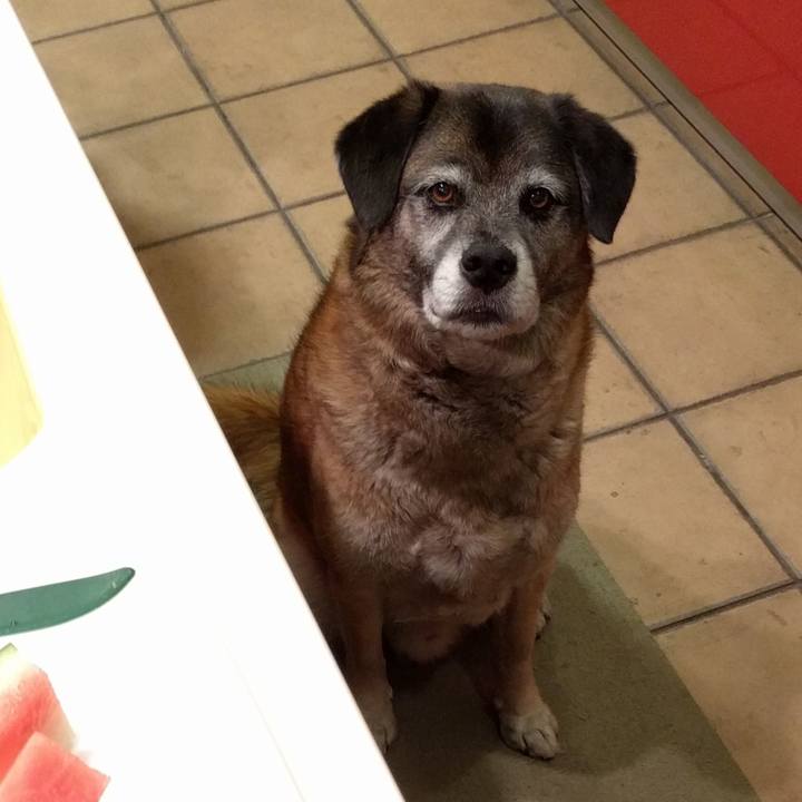 4b5b488f f66e 4651 818e be462041a69d