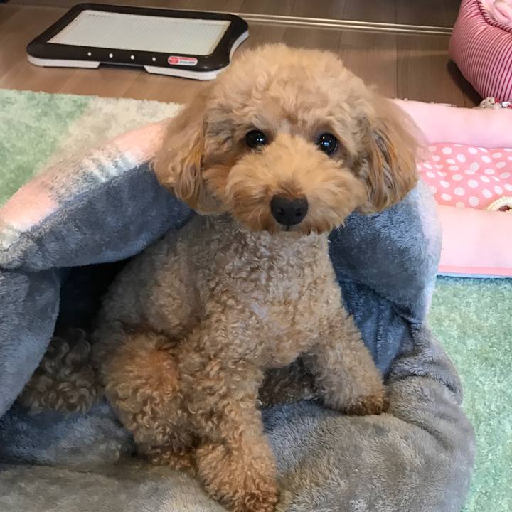 4b5bb6c9 fd83 4f8e aec6 d82306497fa5