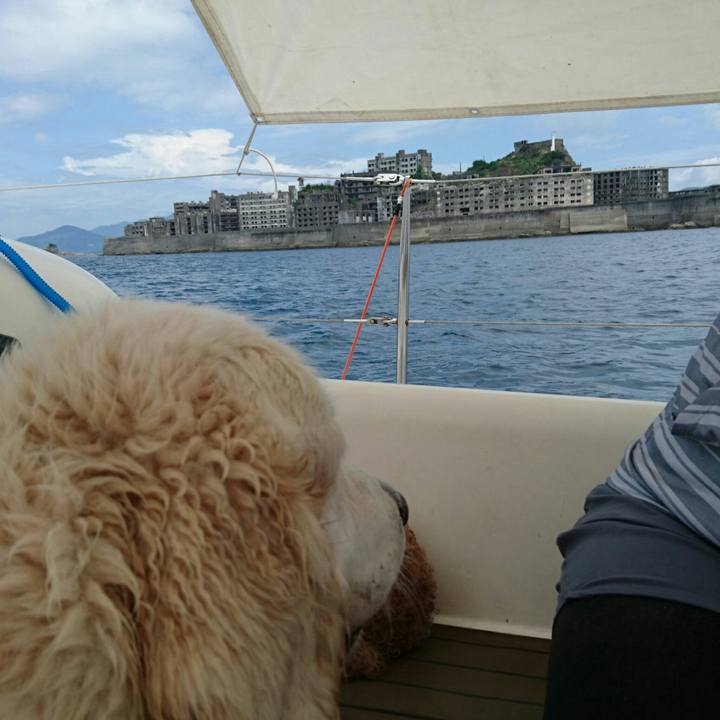 4b5c2064 cce6 4b19 b8b3 27f2932ab63b