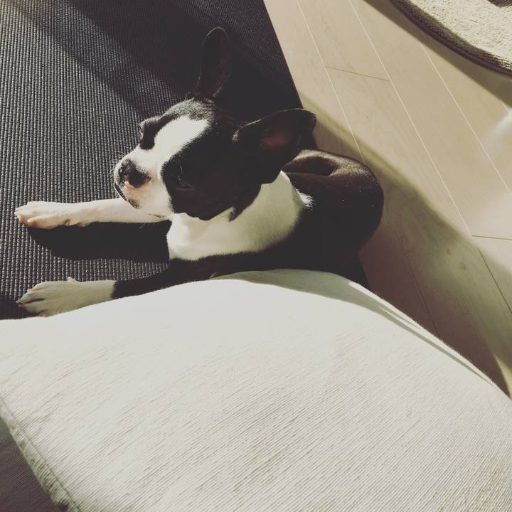 4b5cda61 e606 43b5 8624 beb97b2c886e