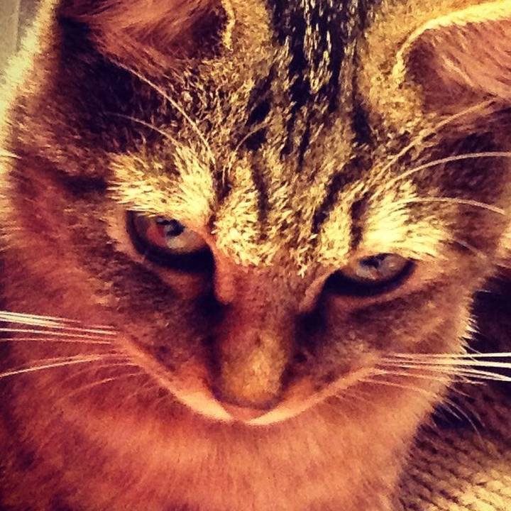 4b5e6d77 1c99 4211 b733 f7278fdeba93