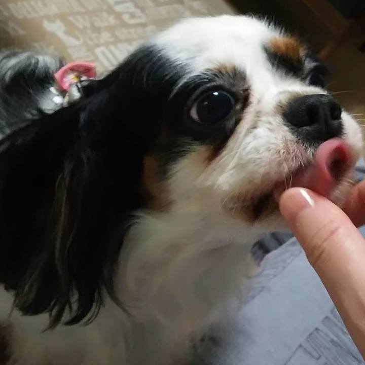 4b5fc118 ddea 430c 8c33 5553c76d59b9