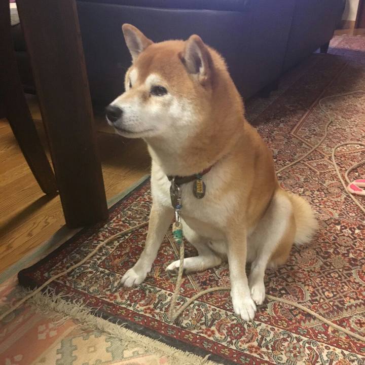 4b5fe6da f57a 4927 a718 00bec14fa1c1