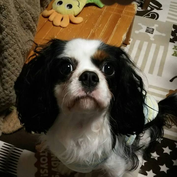 4b5fffab 22ba 4516 a024 8f64813a541b