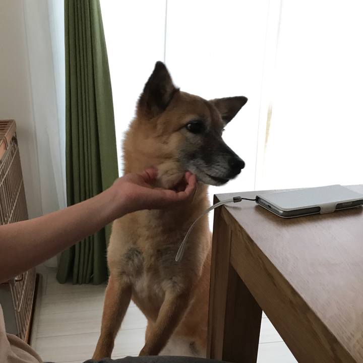 4b604e3b 8b24 464f 9feb 71f289b95b73