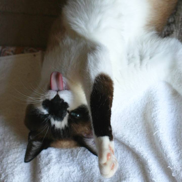 4b60a8b5 dad4 41e0 a189 4b6a51521834