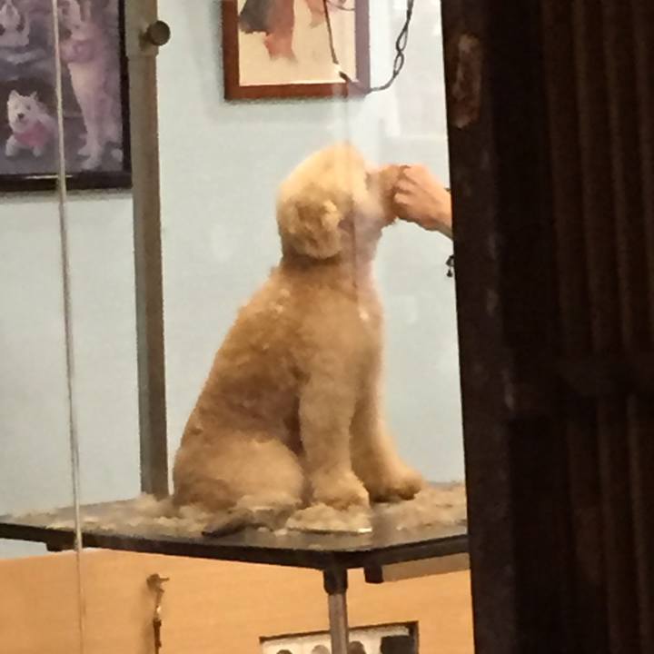 4b60d599 9dcc 4f0f bfa9 7d9bfacb6ab3