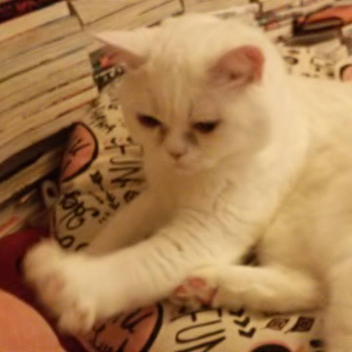 4b61549c 8644 4838 a433 458b6e929e51