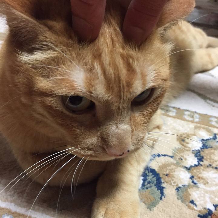 4b617b39 c33c 4b53 9124 5c0fe1c44ba9