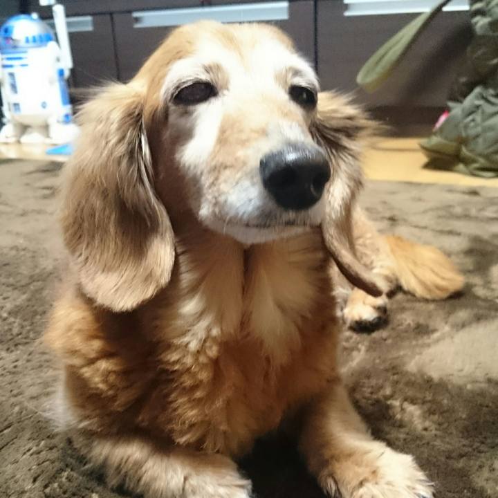 4b6213d6 6405 4319 8ded 59cb9a79aa5f