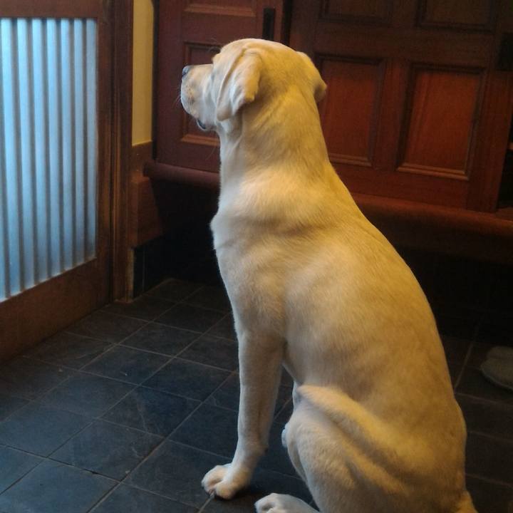 4b624b3b 336a 445e b523 e0fc49c6dffe