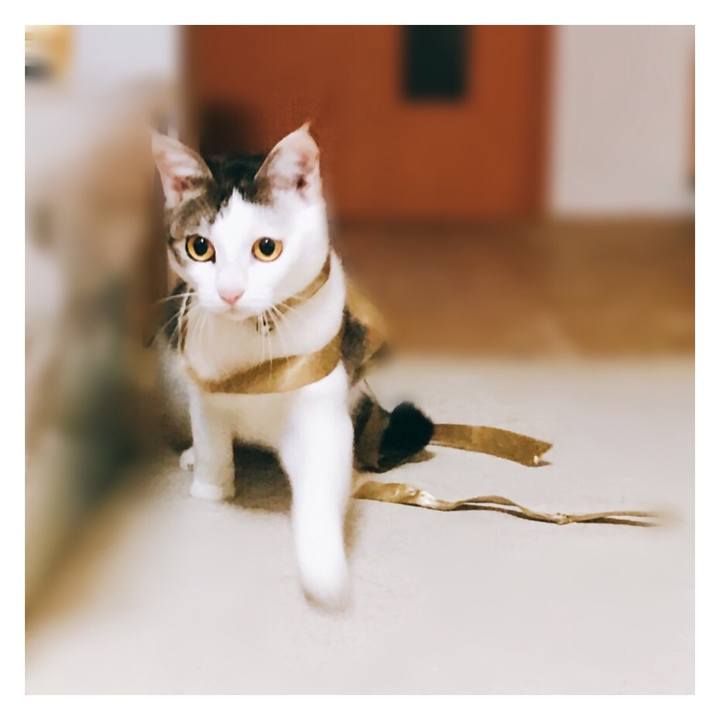 4b630599 b592 46ac 9f5c c46e684014ef