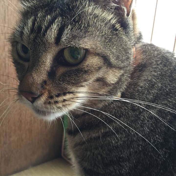 4b630989 5679 46ad 844d 380ca814f451