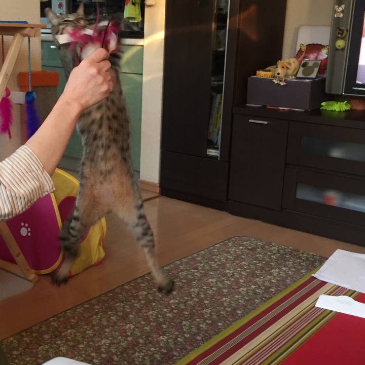 4b639af3 bac0 4e17 8b12 5f9f25054fd1