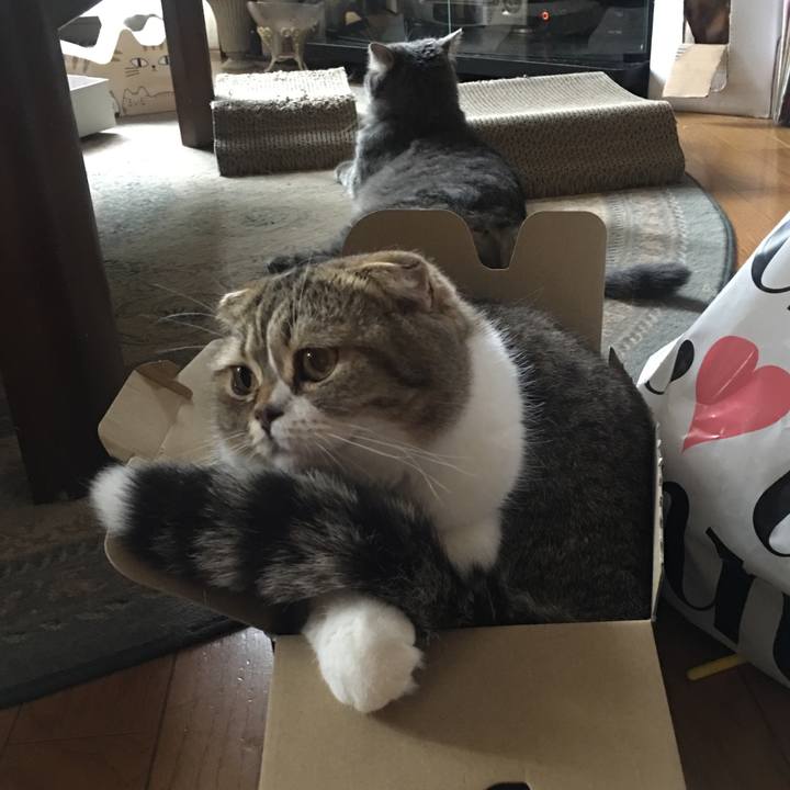 4b639eb0 7c99 46ef a753 cb90c9d18f20