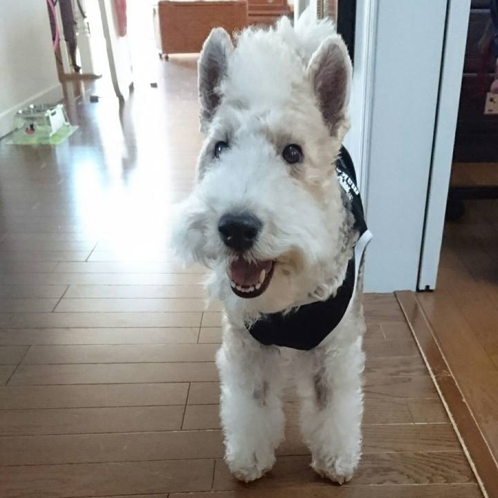 4b656767 357b 44ce 9414 139452448ac7