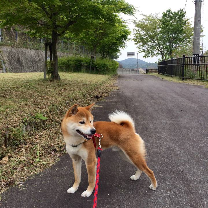 4b658cba 9c56 4cf8 8239 fad3ff89c6ab