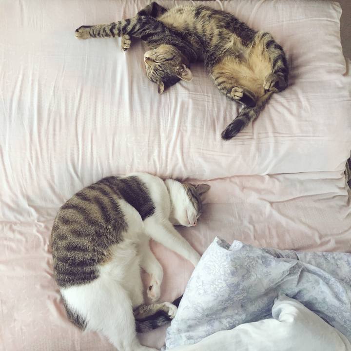 4b65a6a4 4d31 4aeb bb6e 225d27890bf6