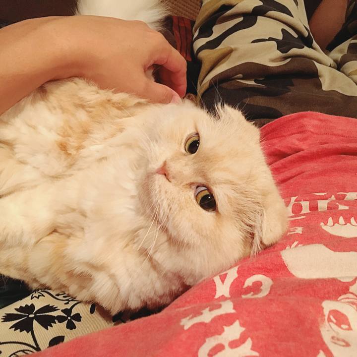 4b661995 2b6c 4d85 a9d7 8c68c97efd32