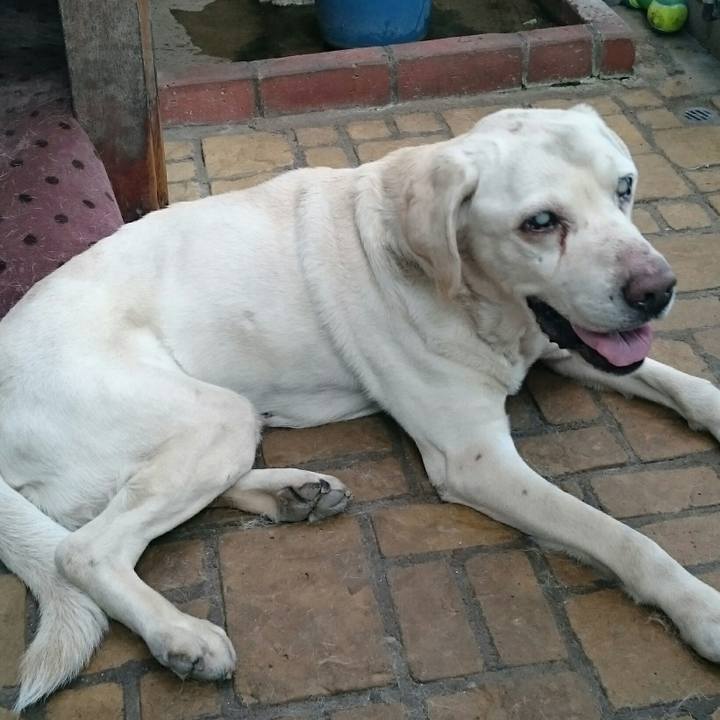 4b662003 9666 43b6 9a85 859abf8baef0