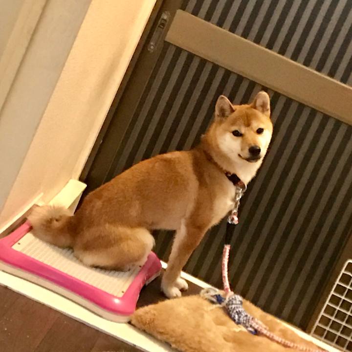 4b6643fb a828 453e ad10 d8f45c475572