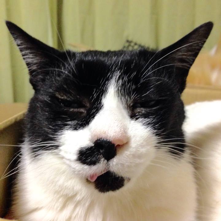 4b67f713 962f 4a04 b0ff e3398d76ad07