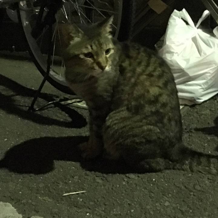 4b68ac83 fc93 40f0 b5ff 8faafc59bc29