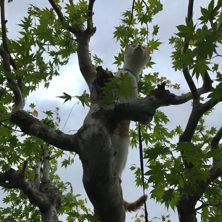 4b68b0b2 34ab 49d7 af42 f9157a6ba28a