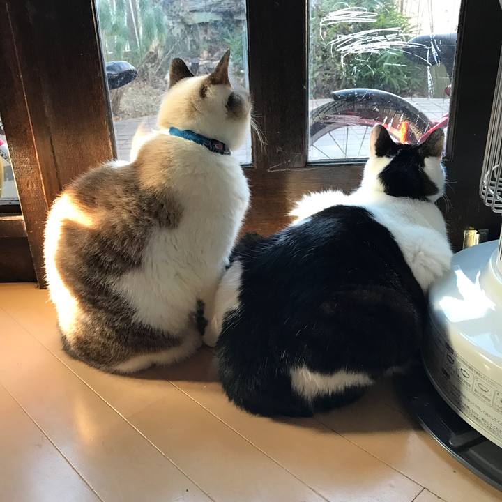 4b694413 218b 4f79 91b2 e95ff03e5a70