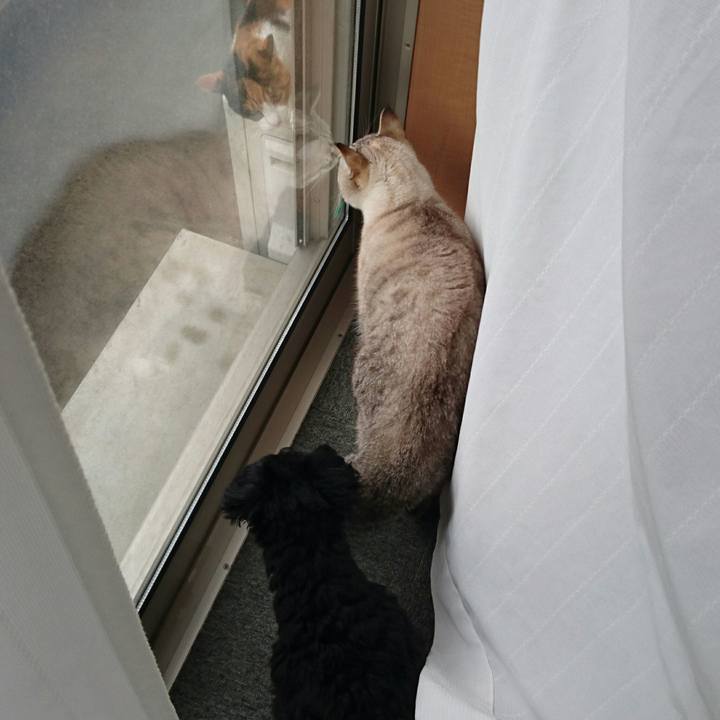 4b695093 6556 4e2c a541 6e8d72e730fc