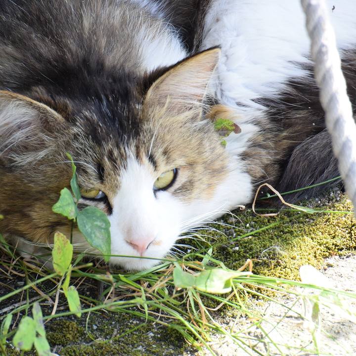 4b69a2ae d637 4c41 a608 a919759028a0