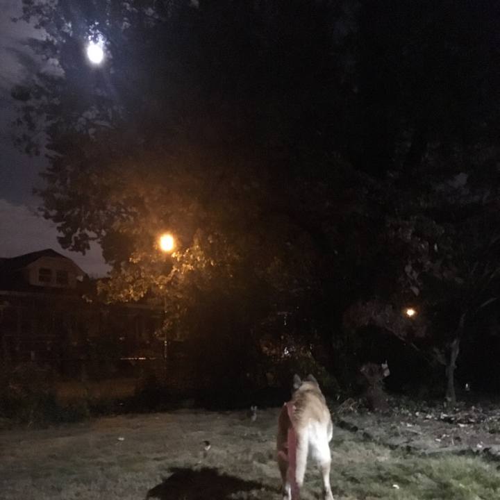 4b6a75ff 3d91 4180 b271 c2e045e61e4b