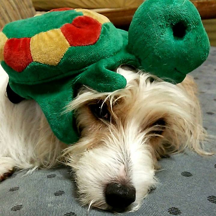 4b6b384b 6652 44d2 b48b 2bfd4335038f