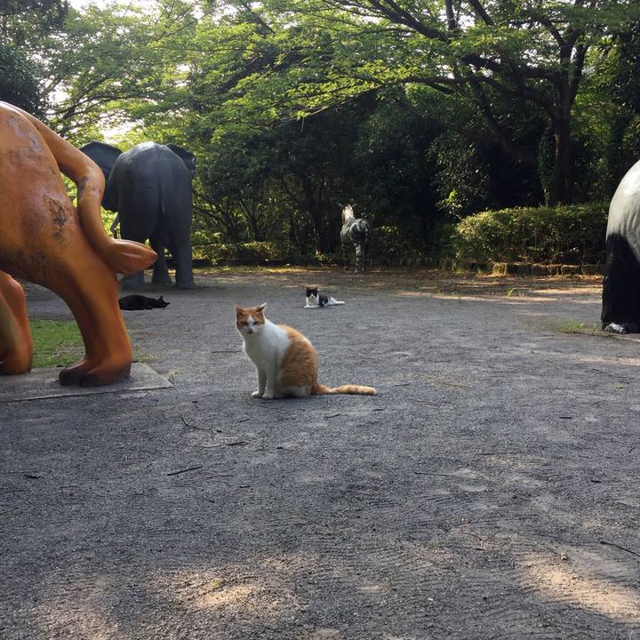 4b6b97f6 47f0 41e9 8e6a 07a2f6483278