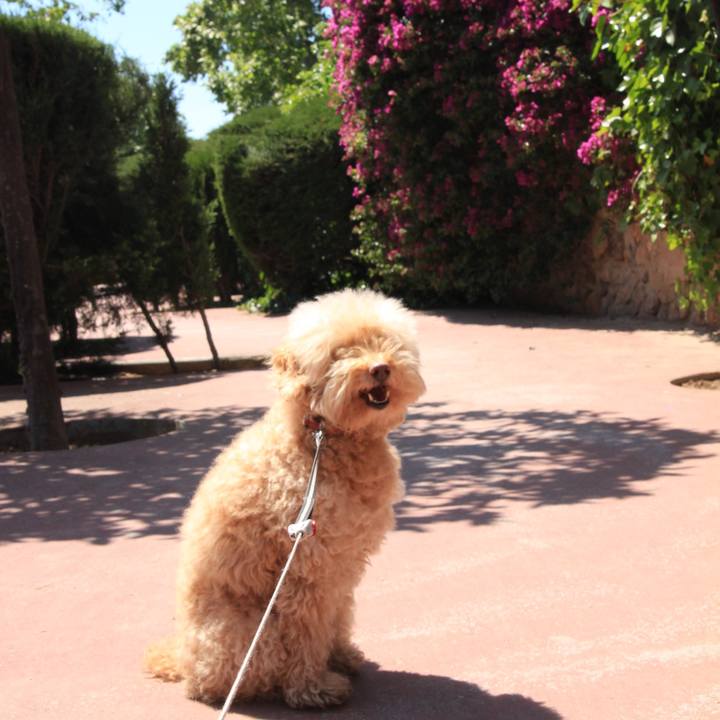 4b6bba66 b718 467a 902a fb76bb28a370