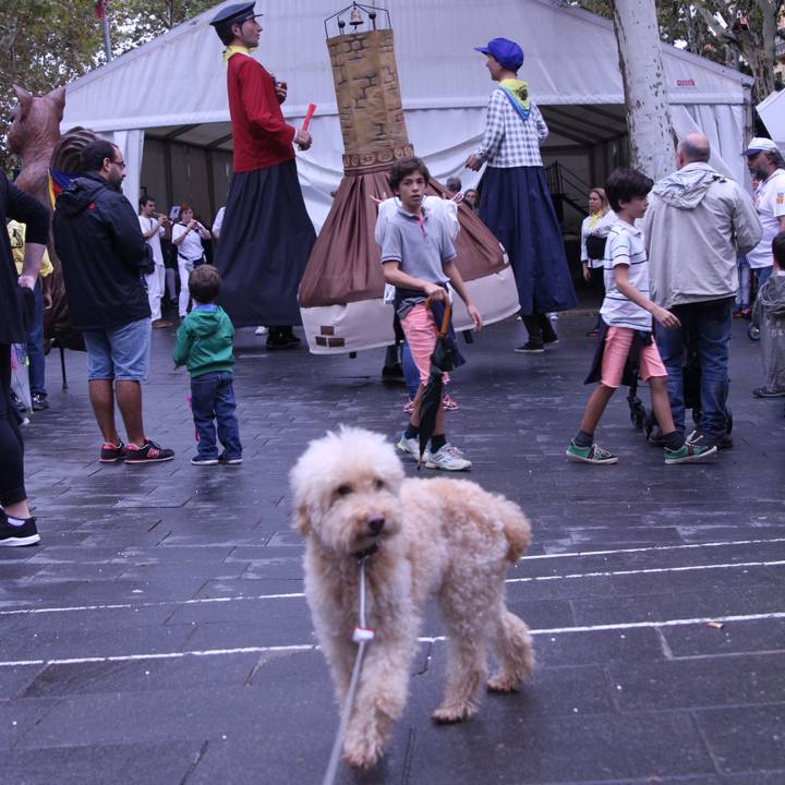 4b6c801f d670 42a5 bd68 9be0e3975e17