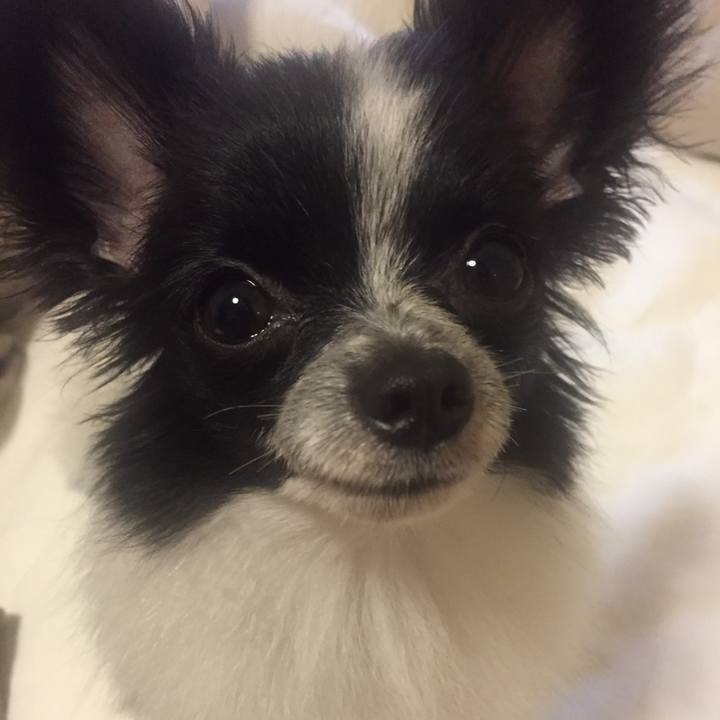 4b6d127e 9295 48f0 9ff8 4d4ce628e394