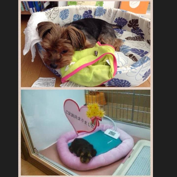 4b6d4ae9 e902 4def bae9 73e8e7d7ba4d