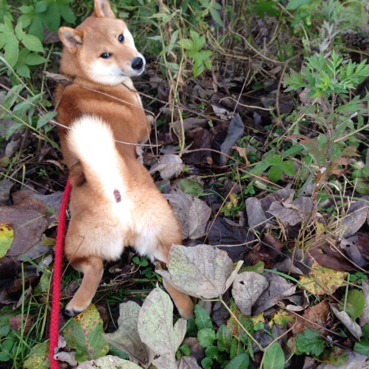 4b6d6acd 60a2 41b8 bade 40d4521a17f7