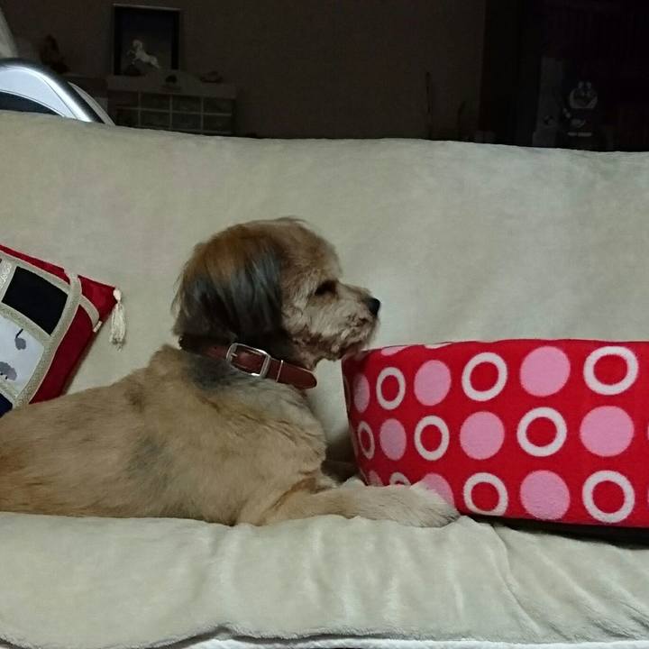 4b6dee38 2413 41e8 b2d9 b53b92f52833