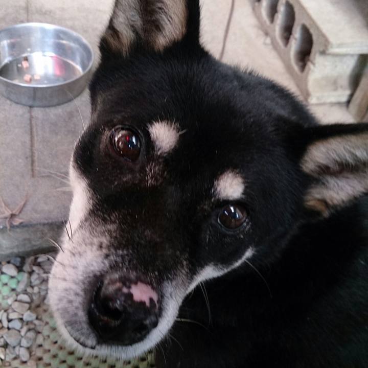 4b6e0bf0 3c42 4e98 8e8a f550c9b9a588