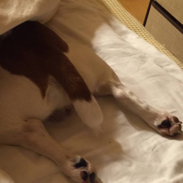 4b6e4569 c848 4363 81ad 2f1edf09ca87