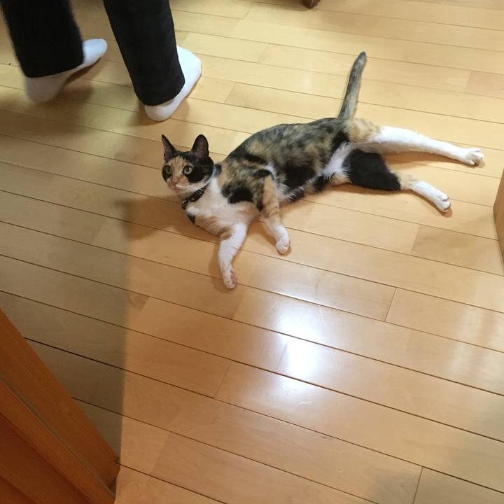 4b6f3930 285f 4a18 8ddb e7a89516711c