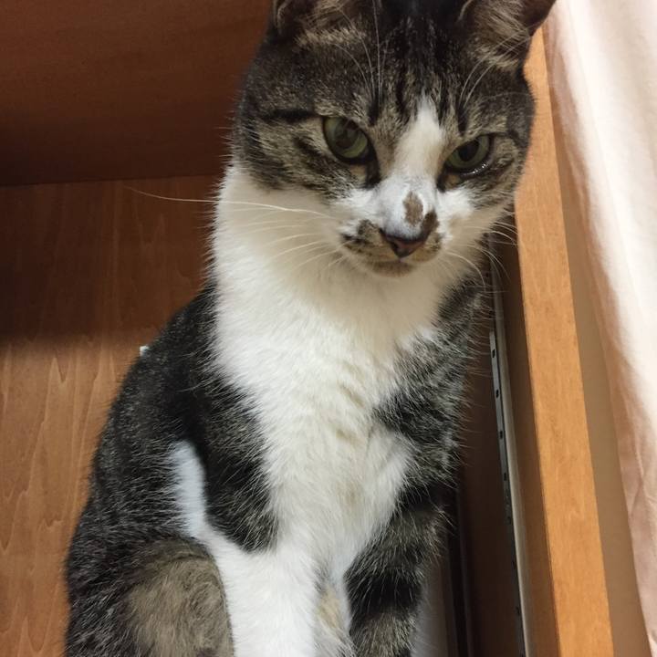 4b6f52a8 cf05 4dd6 8f24 78db00c42c61